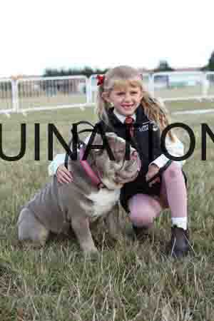 DOG-1024