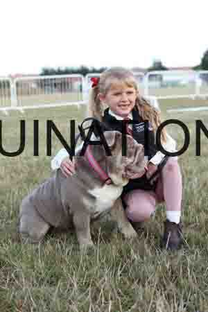 DOG-1025