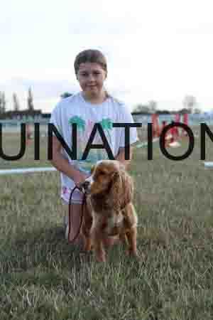 DOG-1027