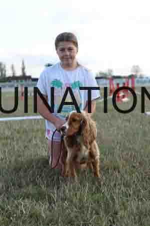 DOG-1028