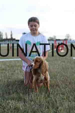 DOG-1029
