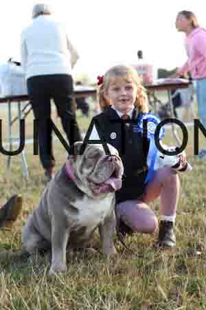 DOG-1034