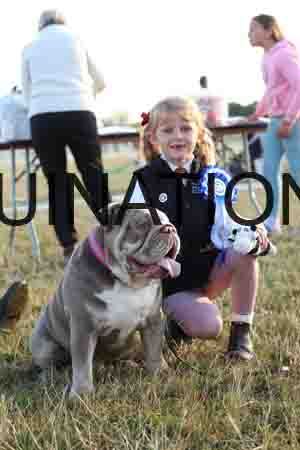 DOG-1035