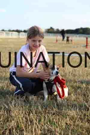 DOG-1053