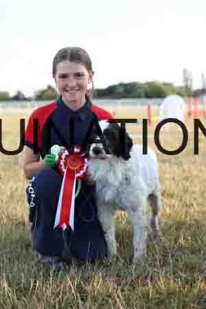 DOG-1061