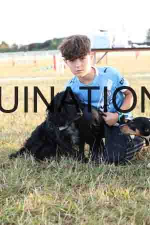 DOG-1062