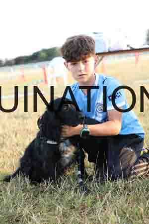 DOG-1063