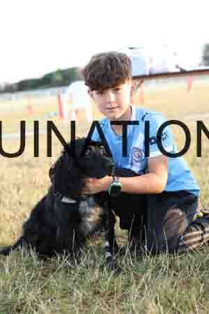 DOG-1064