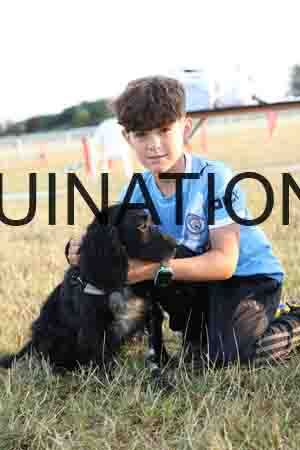 DOG-1065
