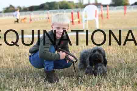 DOG-1080