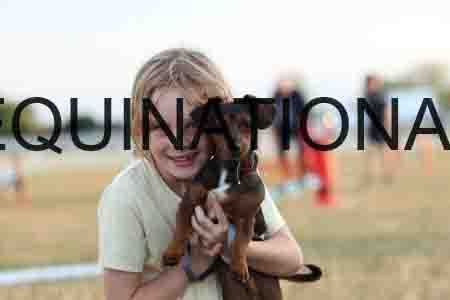 DOG-1096