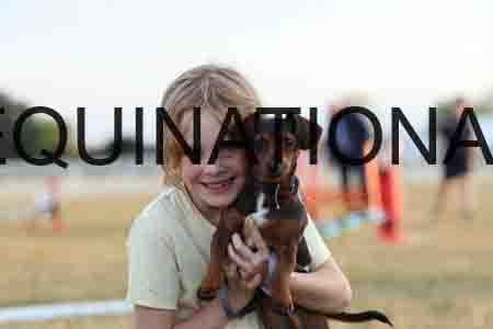 DOG-1098