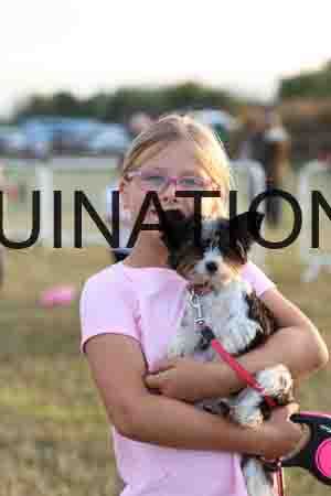 DOG-1110