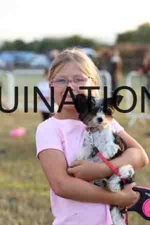 DOG-1112