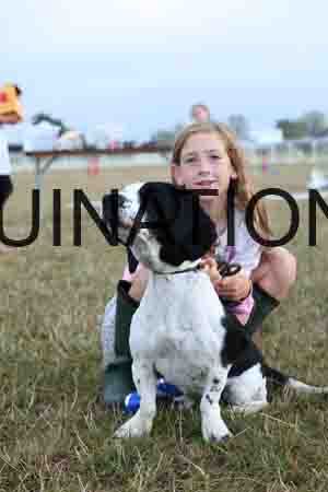 DOG-1130
