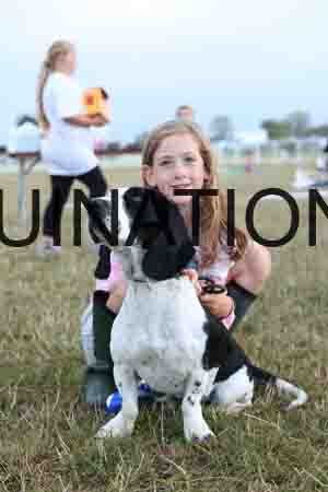 DOG-1131