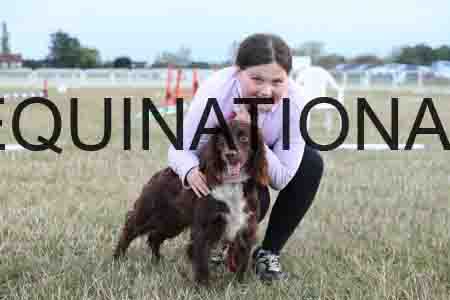 DOG-1133