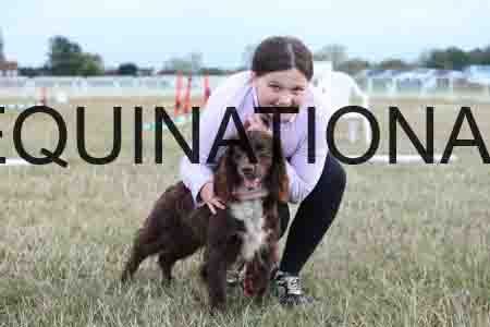 DOG-1134