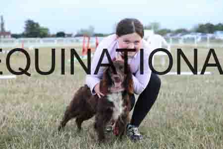 DOG-1135