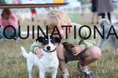 DOG-1148