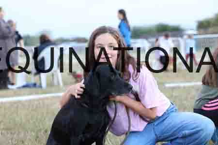 DOG-1152