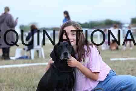 DOG-1153