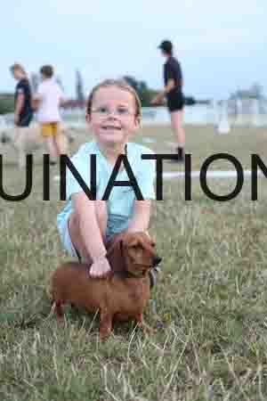 DOG-1161