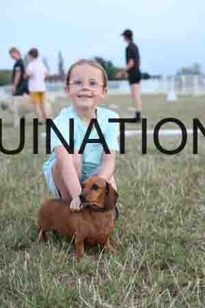 DOG-1162