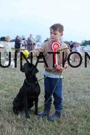 DOG-1168