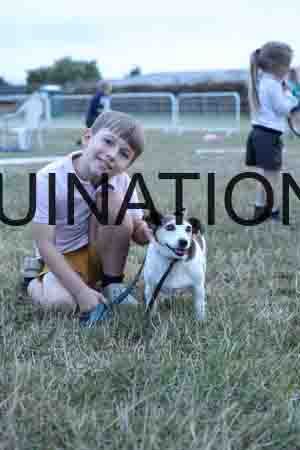 DOG-1179