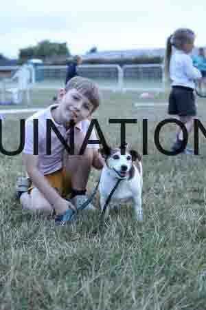 DOG-1180