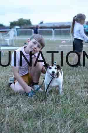 DOG-1181