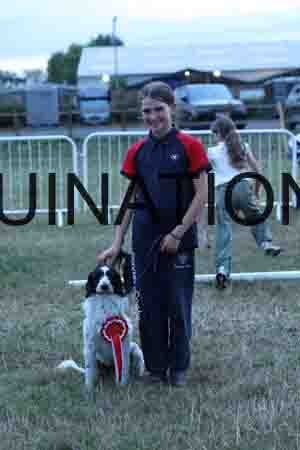 DOG-1198