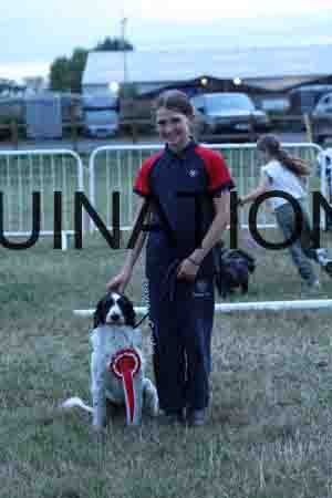DOG-1199