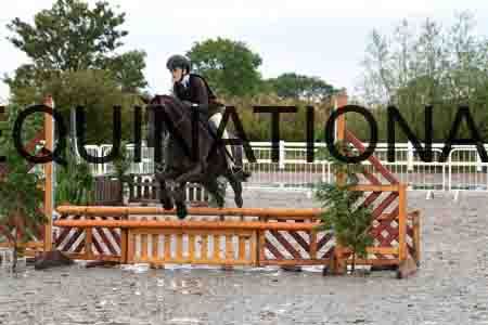 TRV-1345