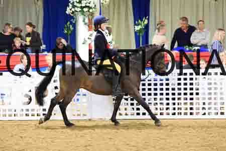 MXV-1527