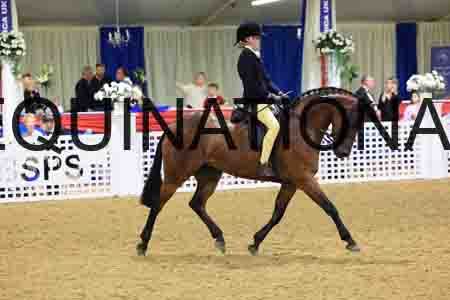 MXV-1949