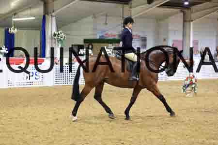 MXV-2090