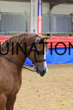 MXV-2469