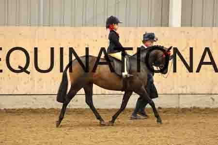 LRF-1784