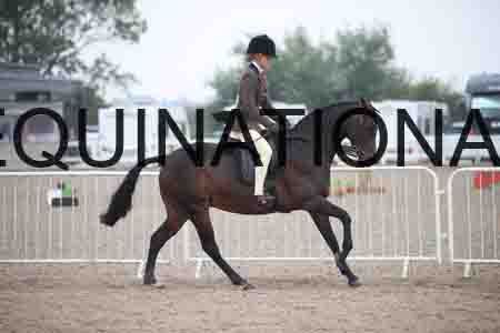 DVC-1049
