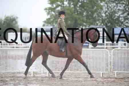 DVC-1655