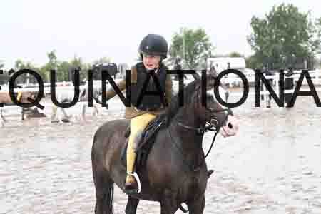 HER-1494
