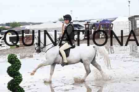 HER-1601