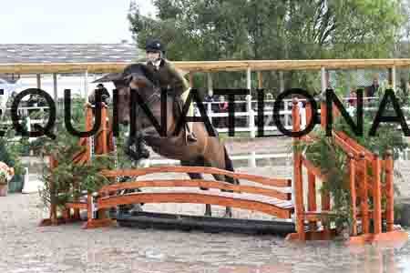 HER-1706