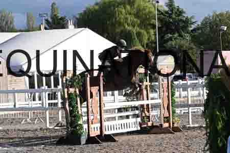 HER-1976