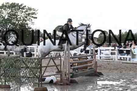 HER-2052