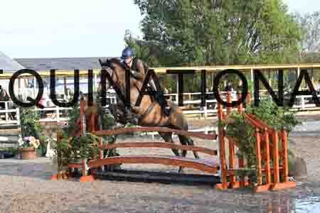 HER-2102