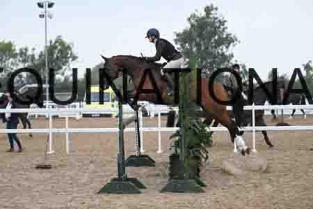 HER-1003