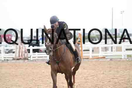HER-1029